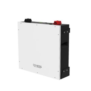 Pin lưu trữ Dyness 51.2V 100Ah